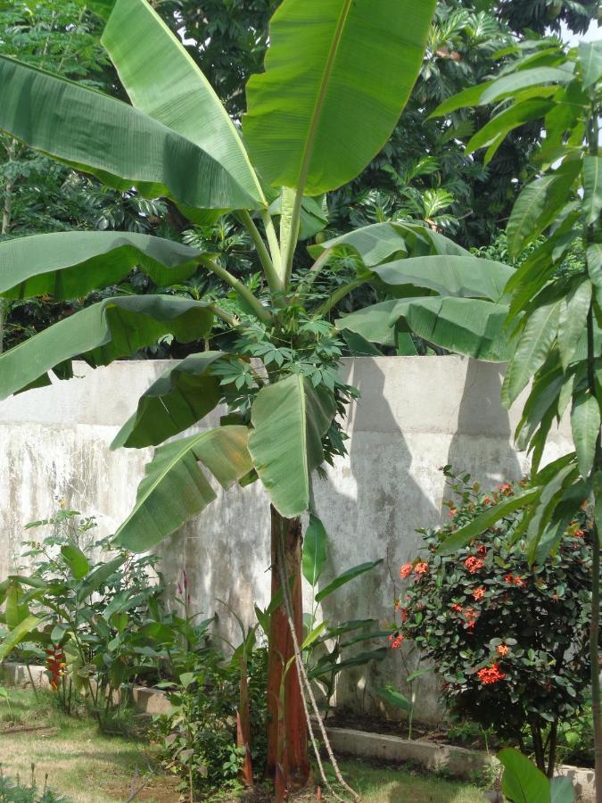 Santos`s House Sao Tome Exterior foto